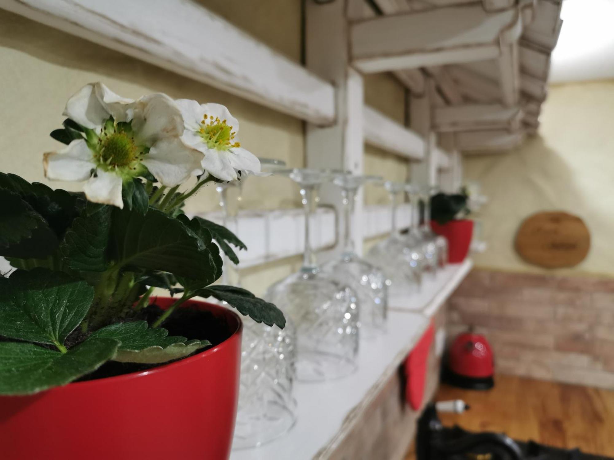 ブレッド House Gabrijel With Four Seasons Outdoor Kitchenヴィラ エクステリア 写真