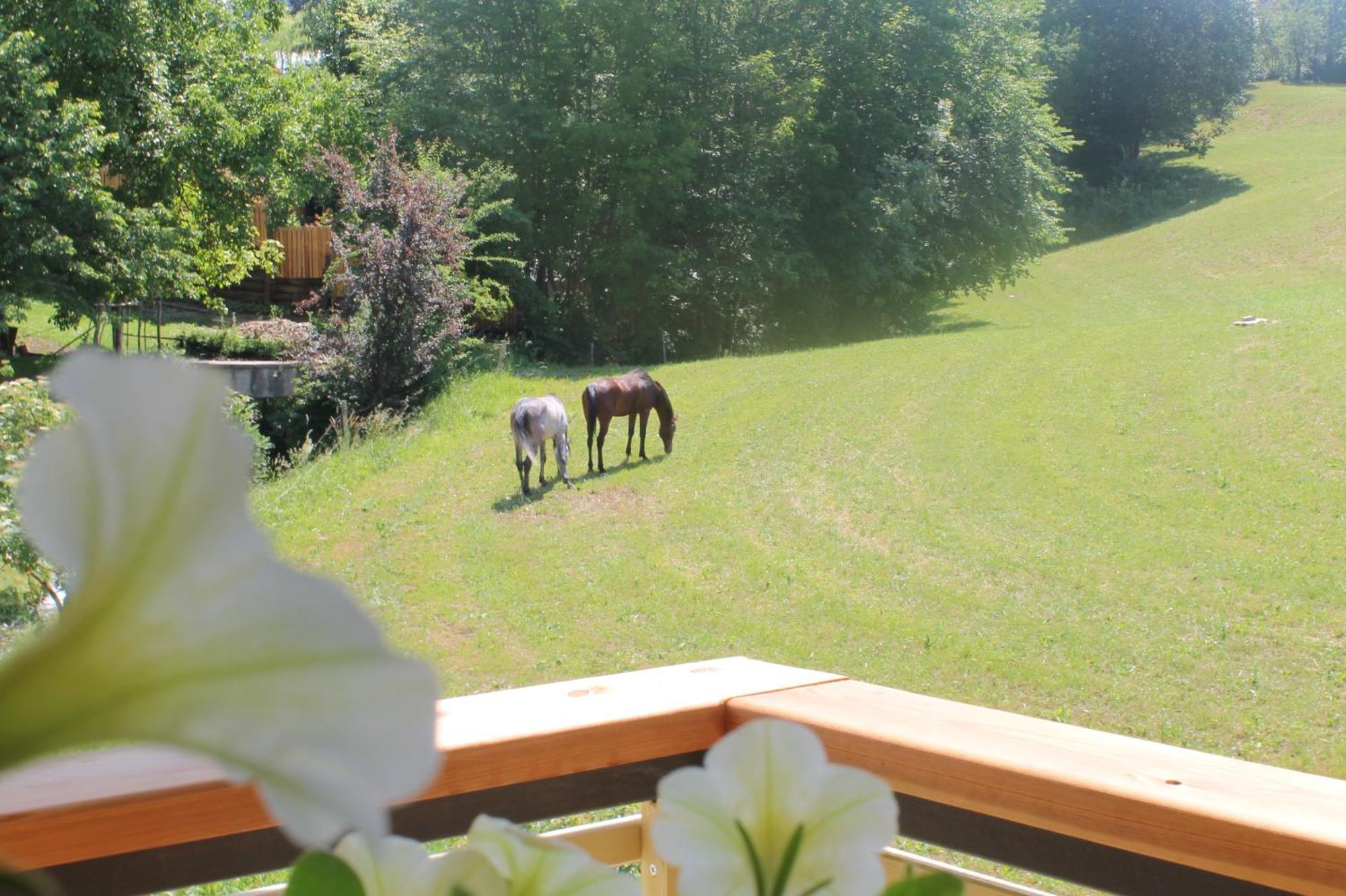 ブレッド House Gabrijel With Four Seasons Outdoor Kitchenヴィラ エクステリア 写真